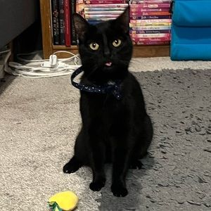 Meet your Posher, Darien